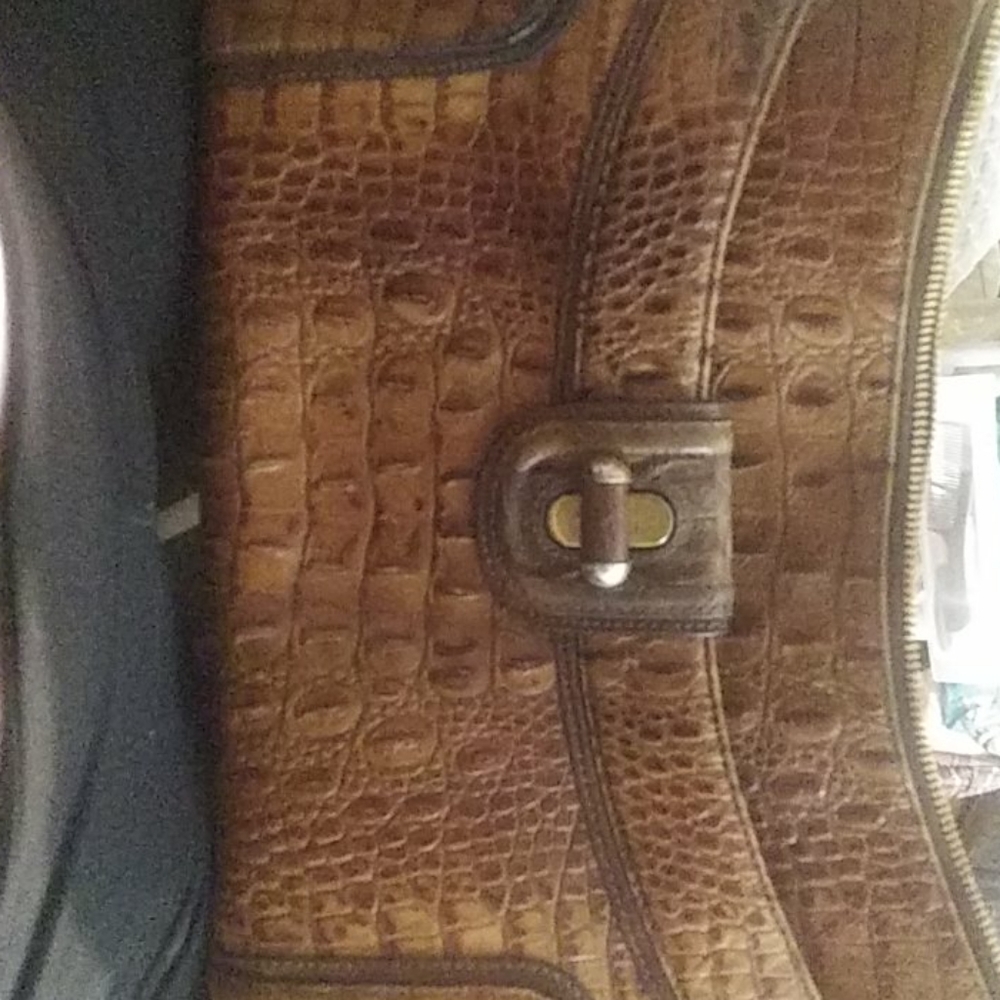Brahmin purse